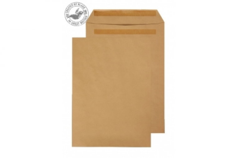Popular Envelopes Manilla Self Seal Pocket C5 (229x162mm) 80gsm Pk500 ...
