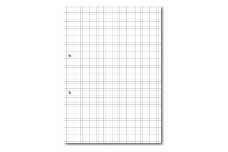 Popular Exercise Paper A4 Squared Paper 5mm 2 Hole Punched Pk500 | WPS ...