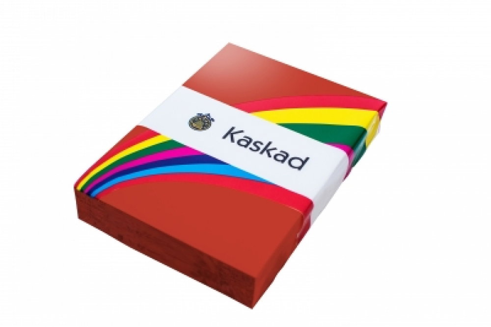 Kaskad Coloured Paper Assorted Deep Colours A4 80gsm | WPS Westward